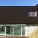 Фасадная панель из ДПК WOODVEX Венге купить в Димитровграде