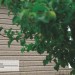 Сайдинг Ю-Пласт TIMBERBLOCK Пихта (Тимберблок) Cахалинская купить в Димитровграде