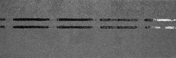 Коньково-карнизная черепица Docke Premium, черника купить в Димитровграде